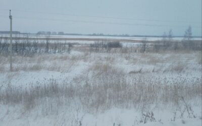 Arte contemporanea in Russia